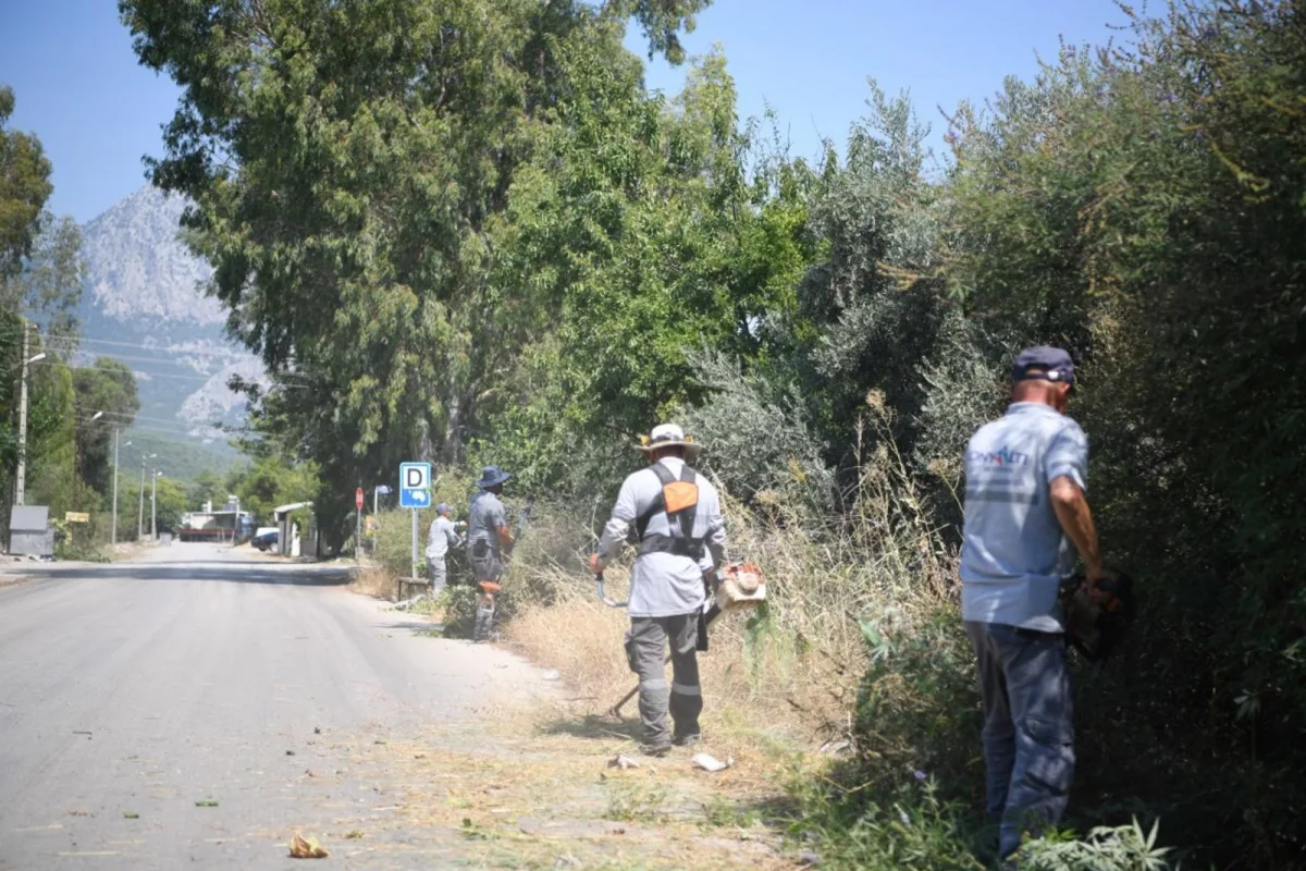 260402